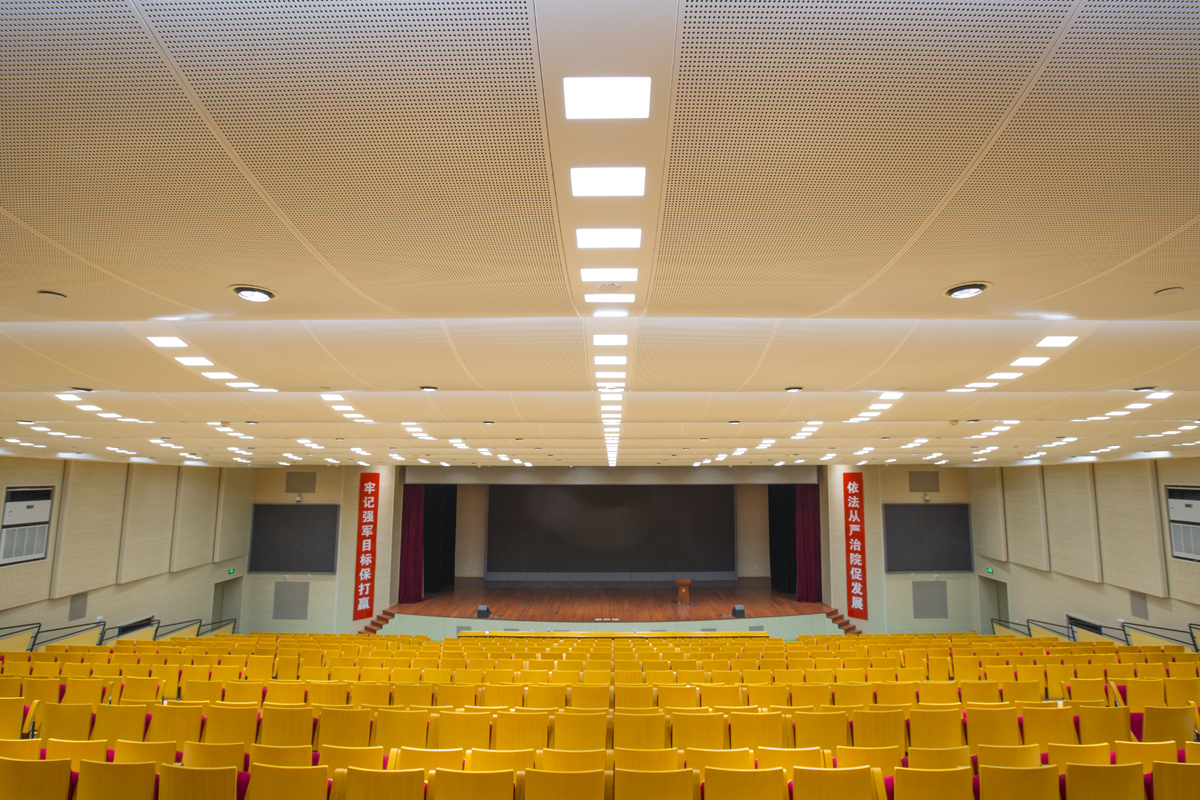 【山东千佛山医院-报告厅正面(冲孔弧形铝板)】